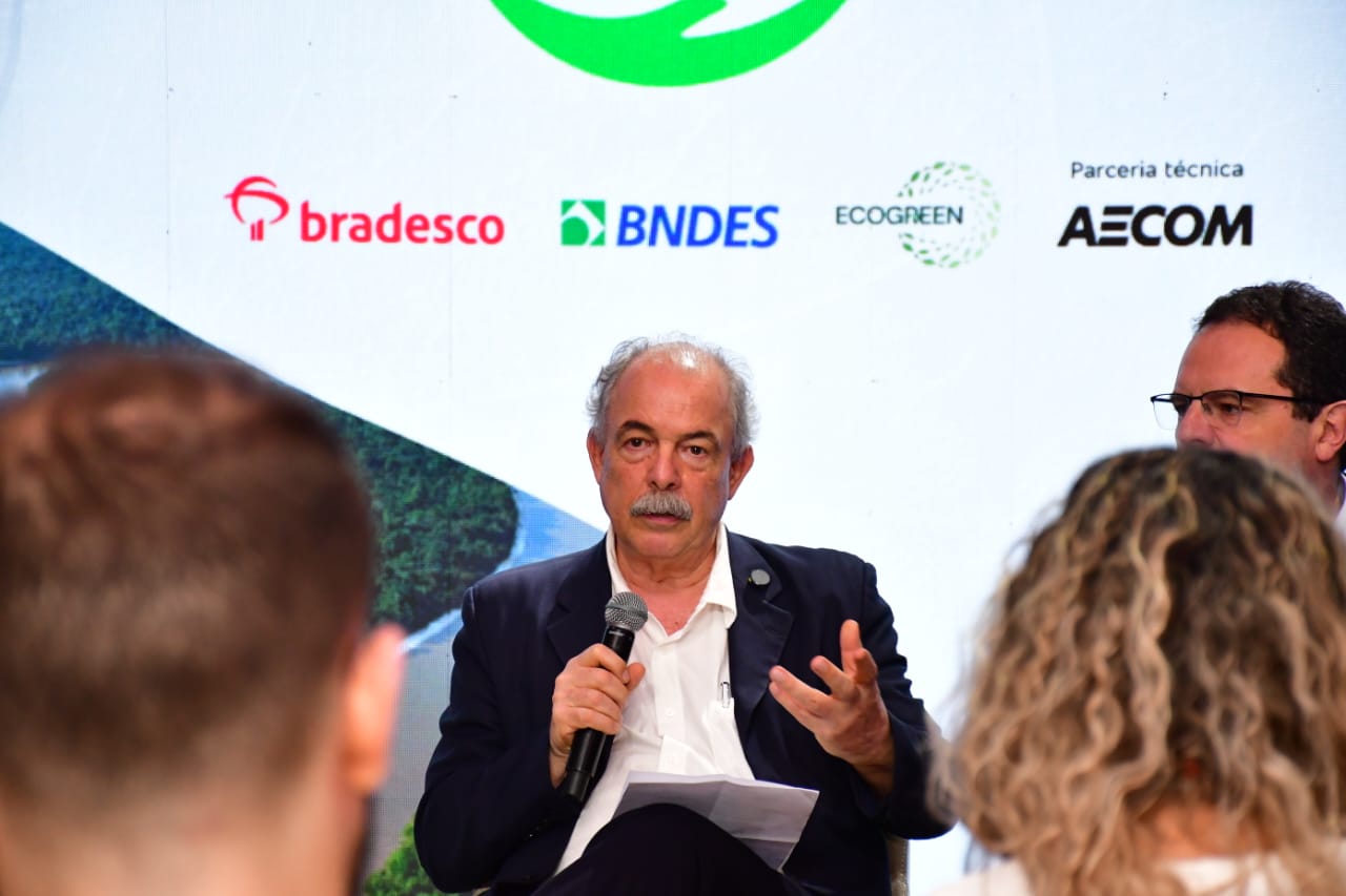 Mercadante: competitividade internacional para os créditos de carbono brasileiros