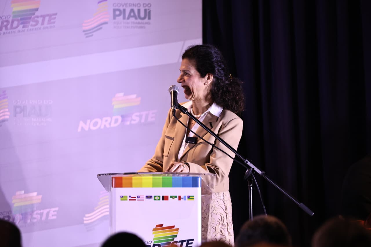 Maria Fernanda Coelho, diretora de Crédito Digital para MPMEs e Gestão do Fundo Rio Doce do BNDES