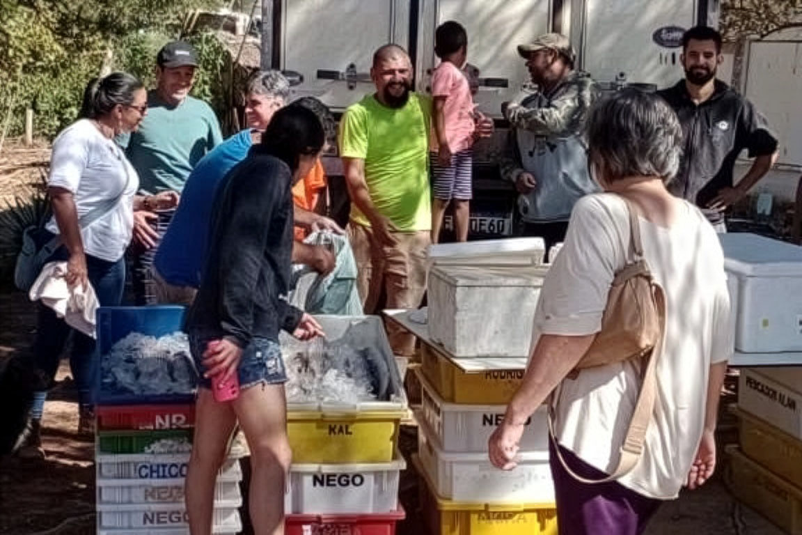 Descrição da imagem