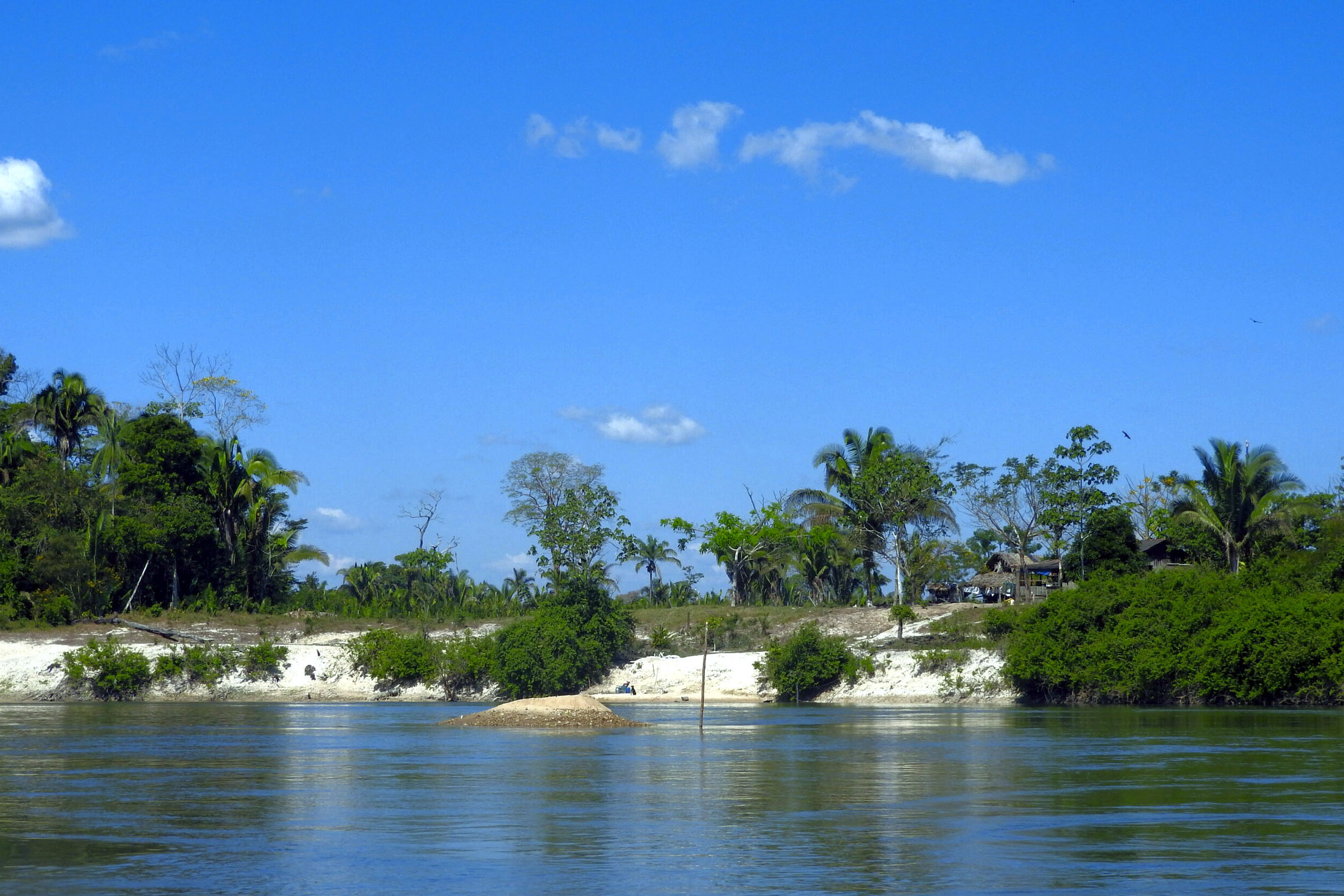 Floresta Estadual do Iriri