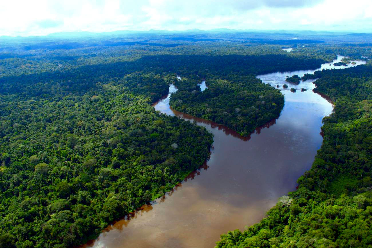 Descrição da imagem