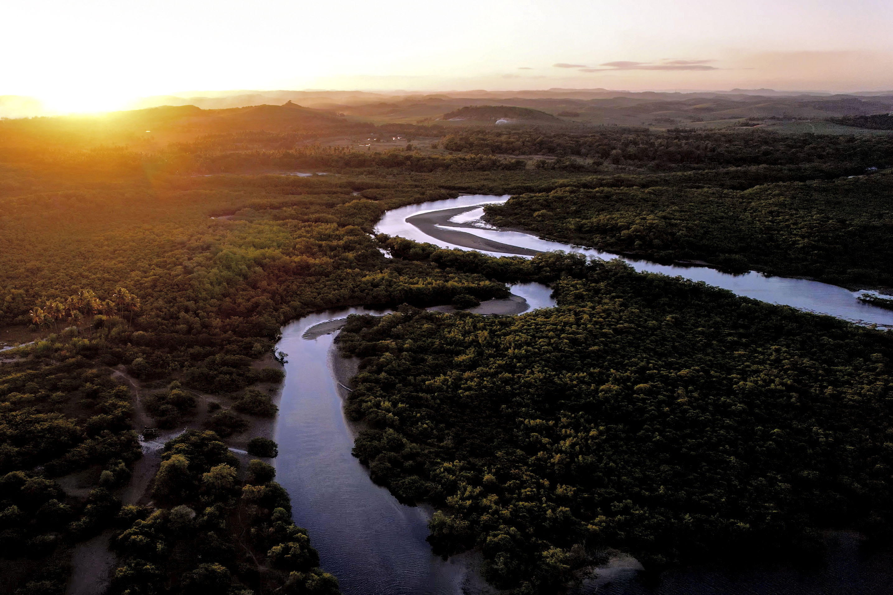 Descrição da imagem