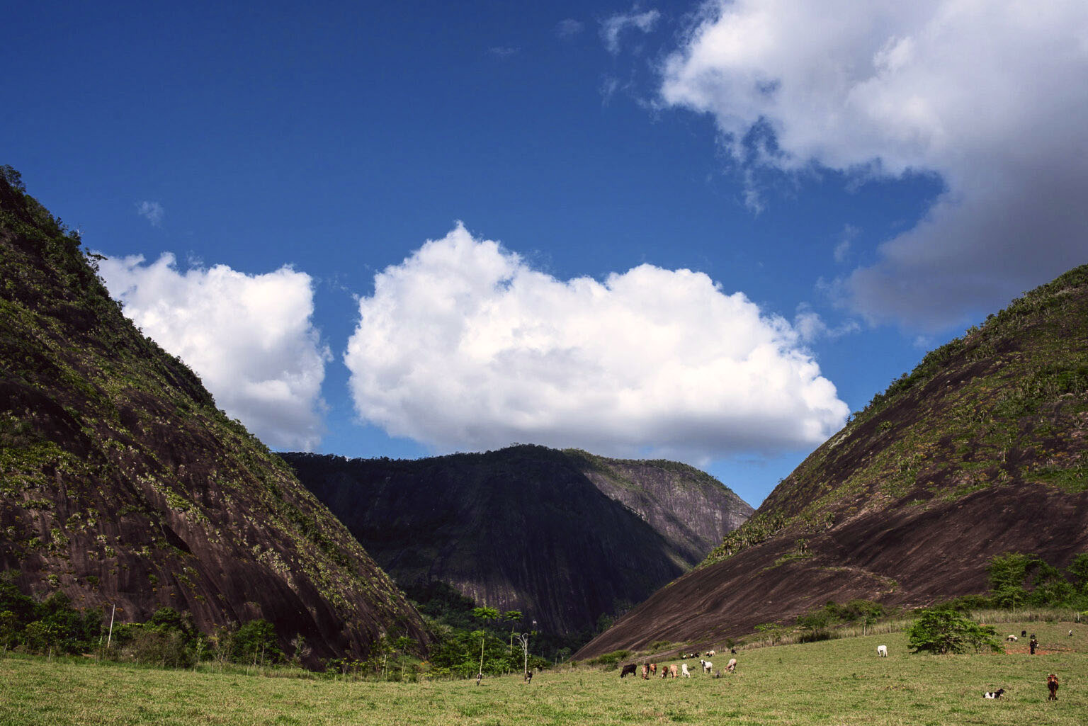 Descrição da imagem