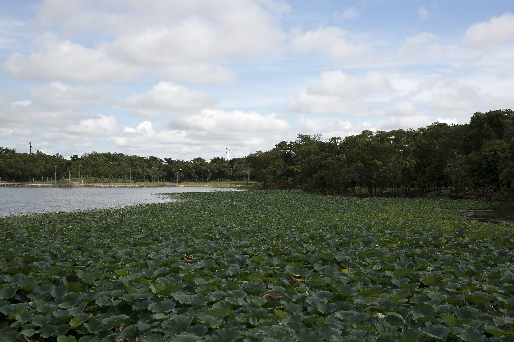 Capa da noticia BNDES lança chamada pública para fortalecer bacias hidrográficas e combater escassez de água em Cuiabá