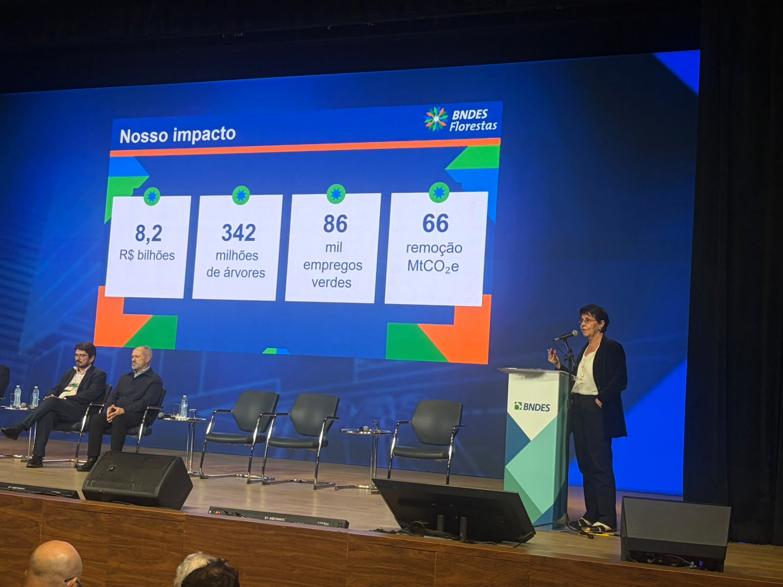 Diretora Socioambiental do BNDES, Tereza Campello, apresenta resultados do BNDES Florestas