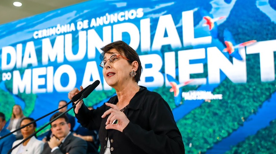 Diretora Socioambiental do BNDES, Tereza Campello, no Dia Mundial do Meio Ambiente
