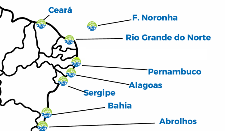 Projeto Coral Vivo Regenera atua na conservação dos recifes entre a Bahia e o Ceará