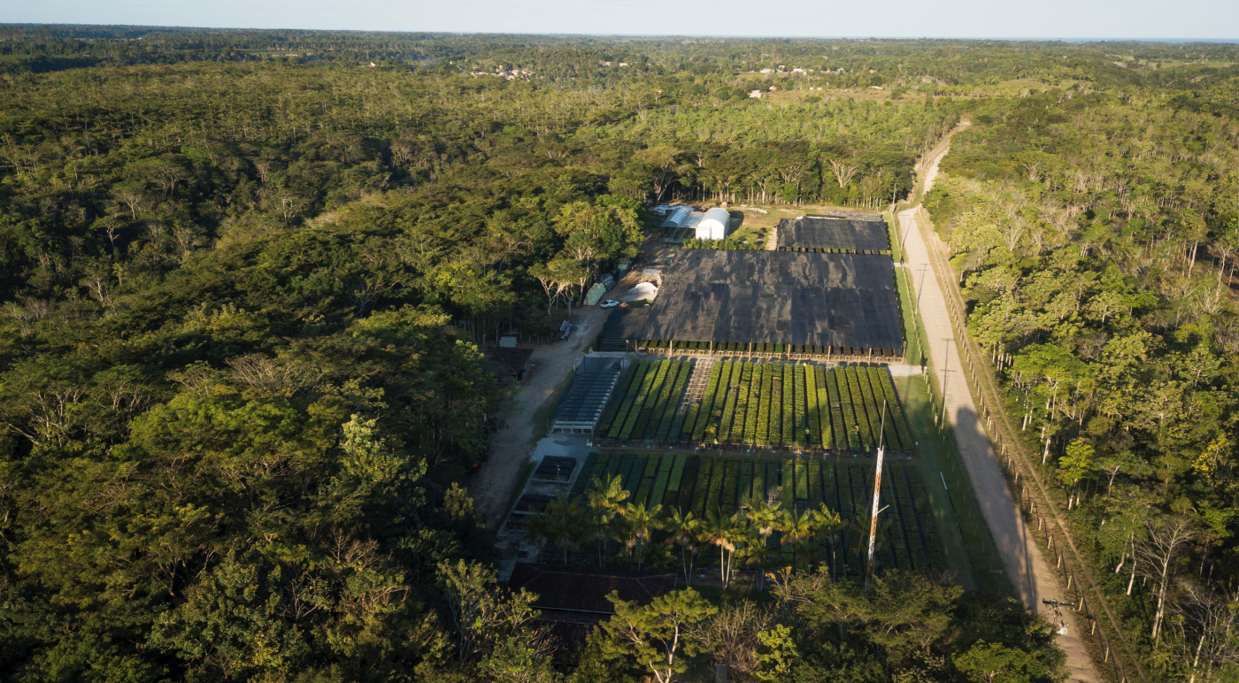 Capa da noticia Fundo Clima: BNDES desembolsa R$ 26 mi à projeto da Symbiosis na Bahia, em operação com fiança bancária