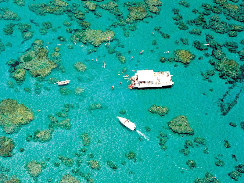 Descrição da imagem