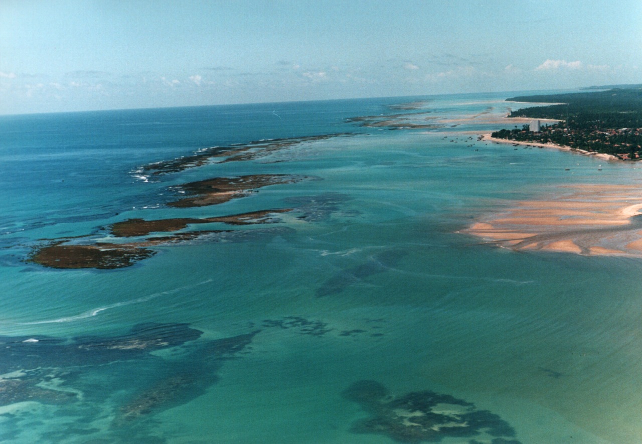 Descrição da imagem