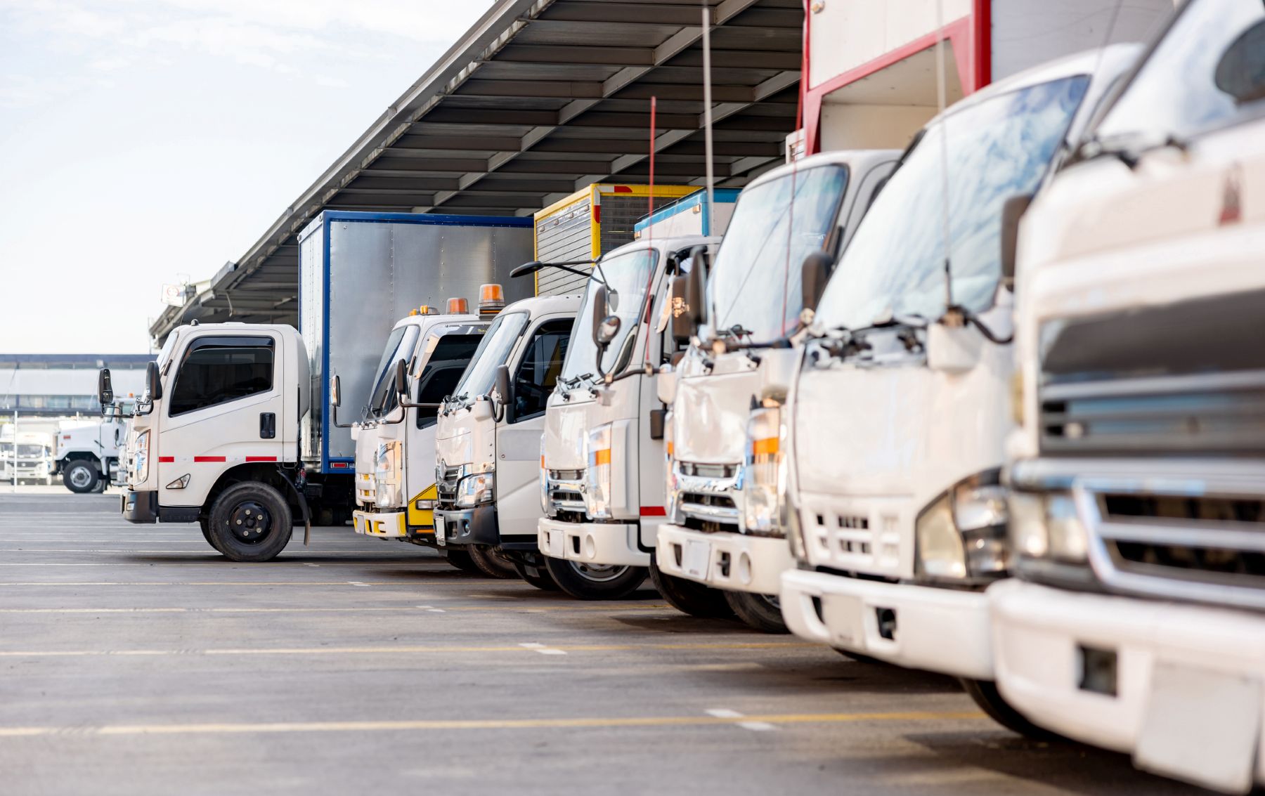 Move Brasil amplia apoio às iniciativas de renovação de frota no país