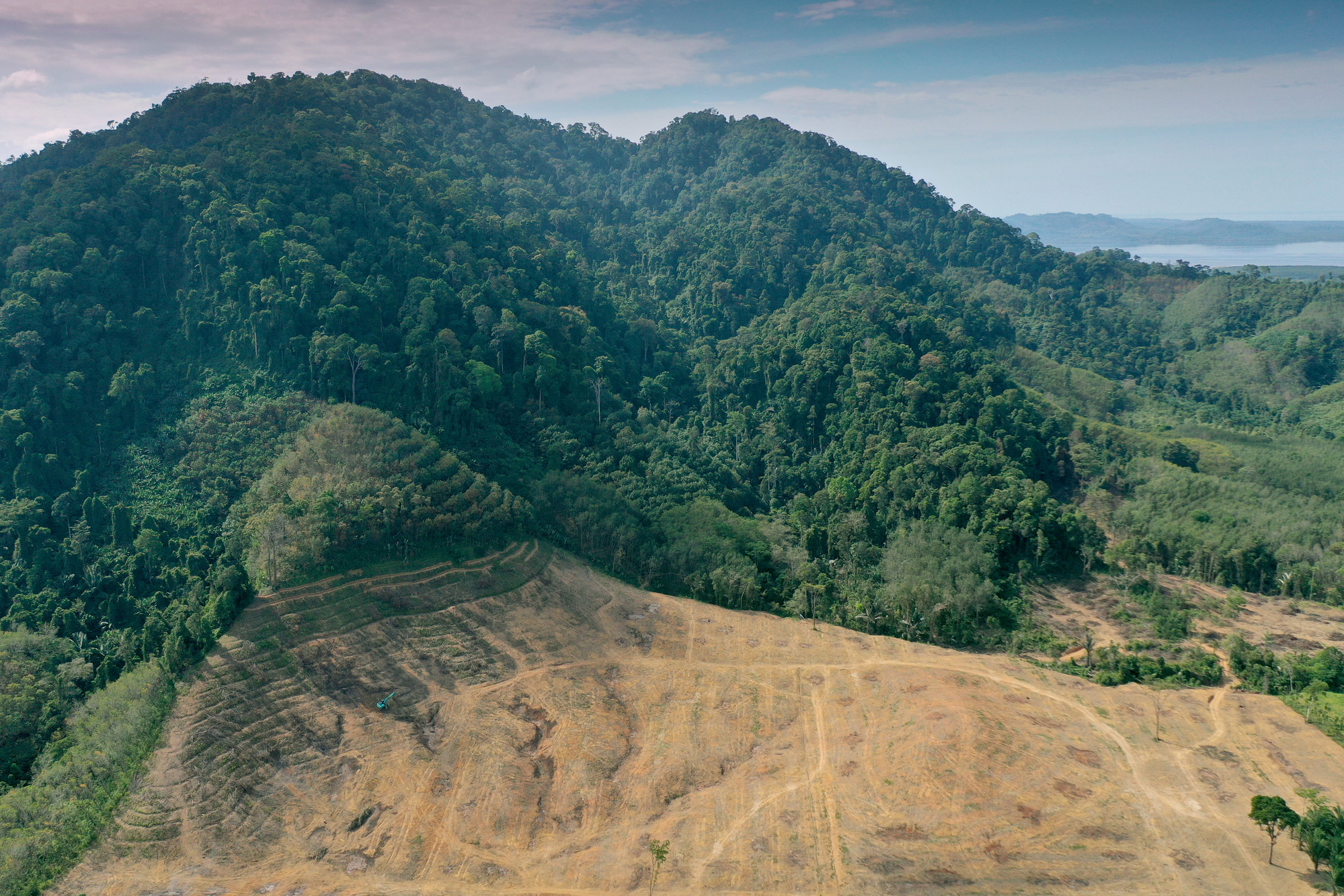 Capa da noticia Tecnologia permite ao BNDES embargar crédito em áreas com  indício de desmatamento irregular