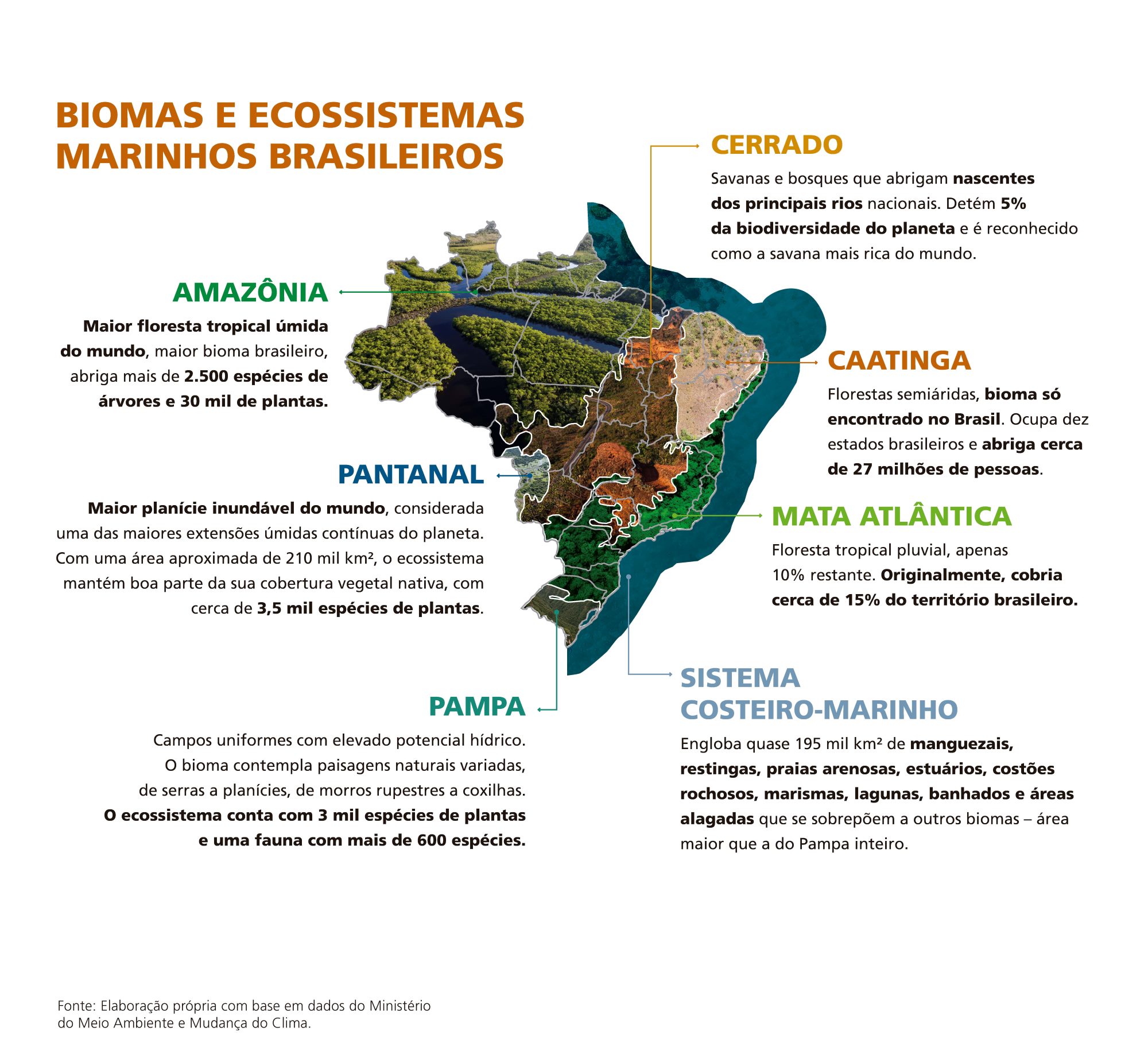 Mapa_biomas