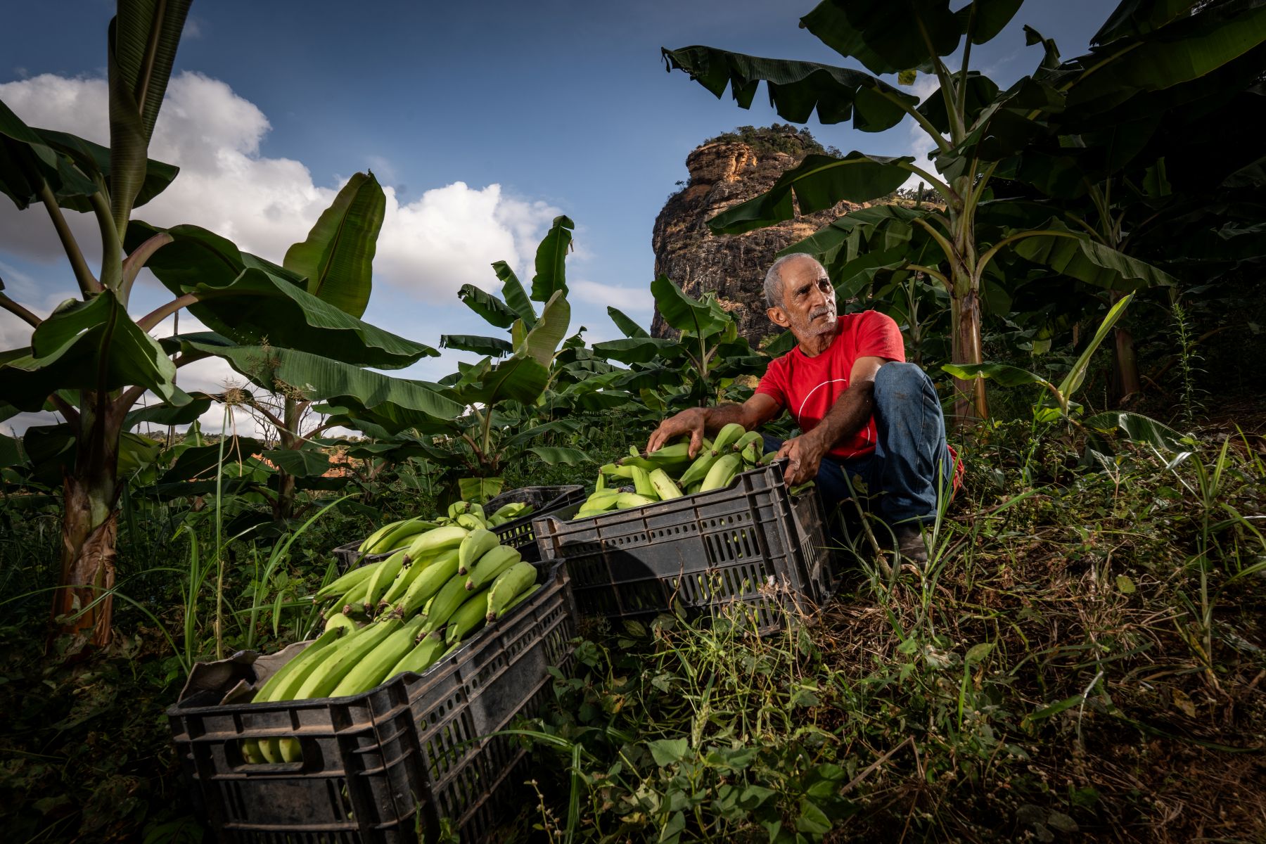 Rio+Doce Rural contribuirá para a produção de alimentos saudáveis