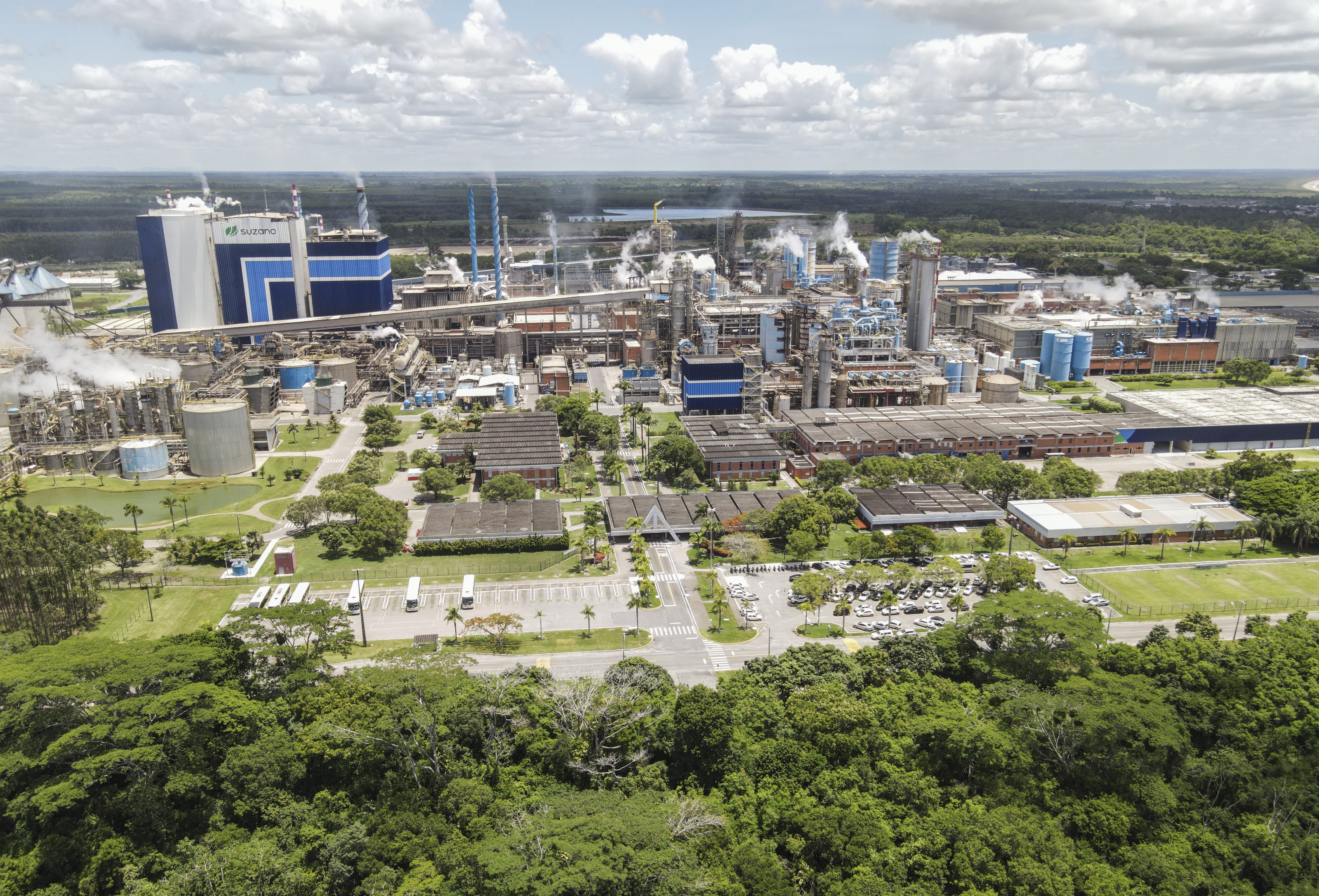 Capa da noticia BNDES apoia investimentos em manejo florestal sustentável e inovação da Suzano 