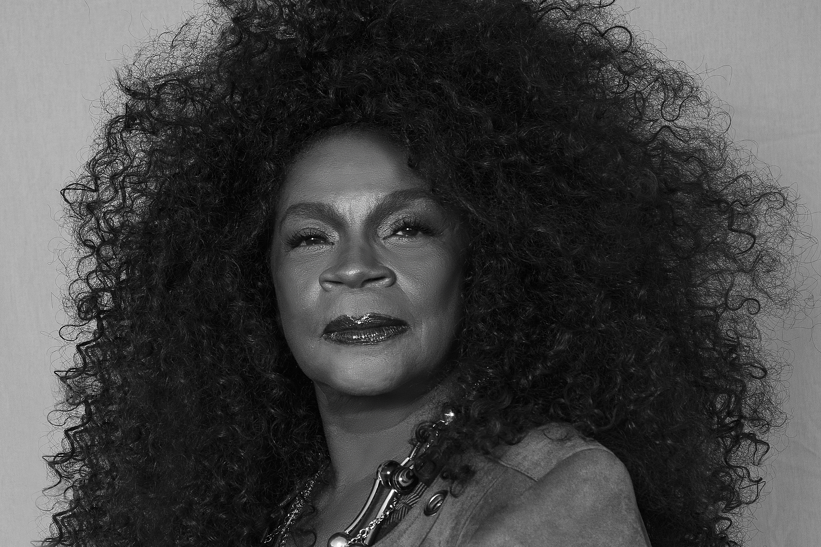 Capa da noticia Espaço Cultural BNDES reabre ao público com show de Zezé Motta em homenagem a Caetano