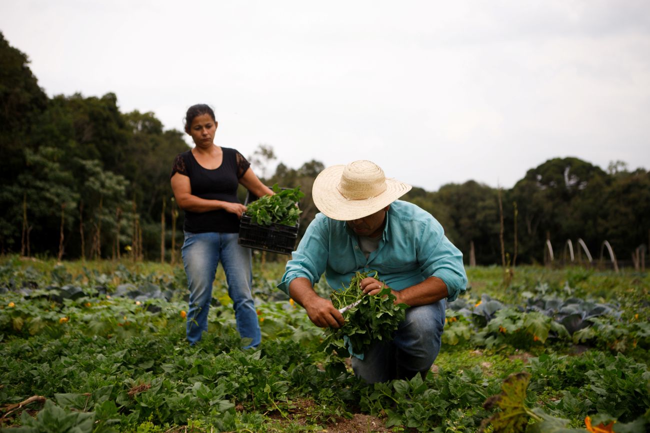 Edital estabelece regras de cada uma das etapas de seleção