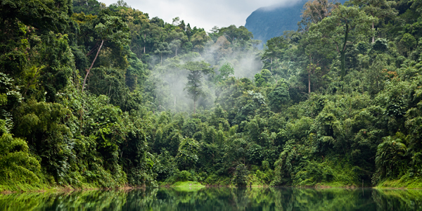 Capa da noticia BNDES lança compromisso para o clima que abrange todas suas operações