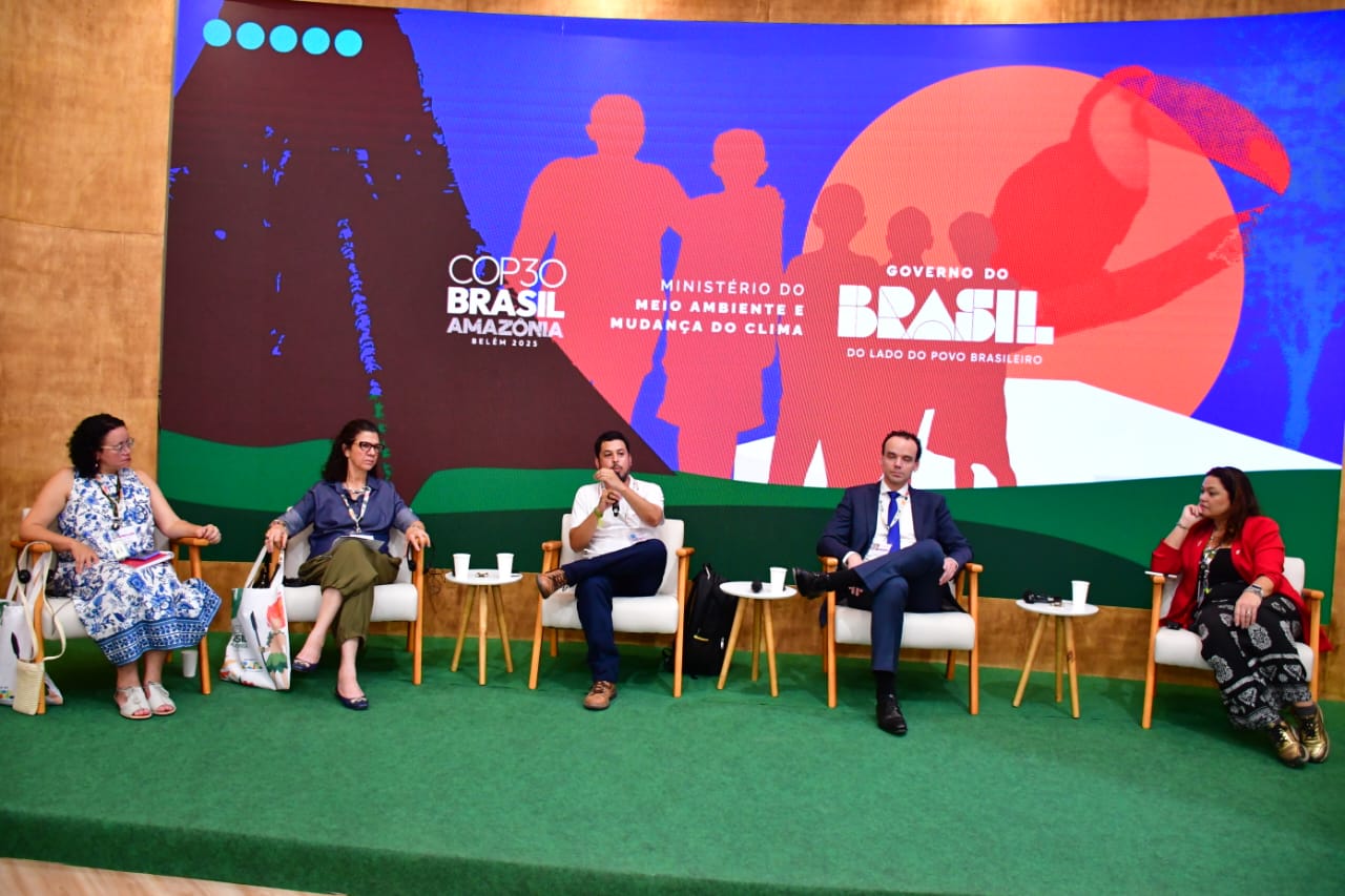 Descrição da imagem 1