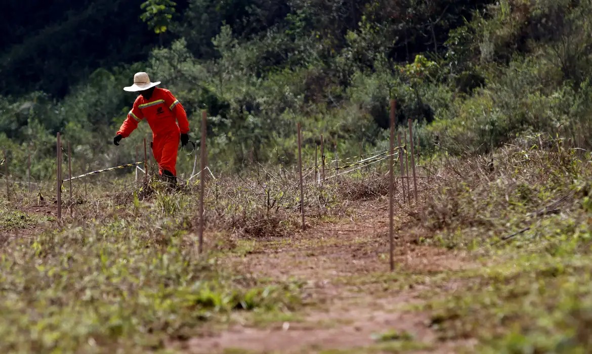 Propriedade rural atingida pelo rompimento da barragem de Fundão