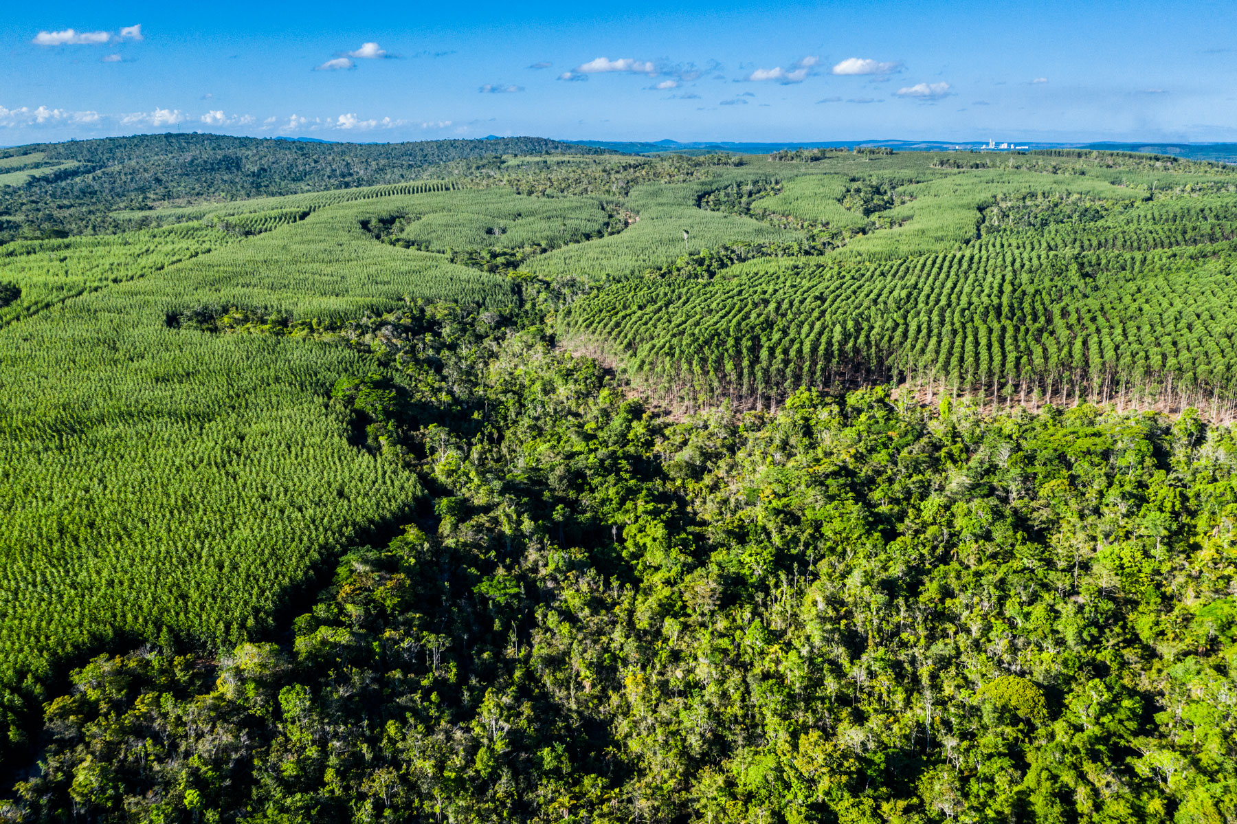 Descrição da imagem