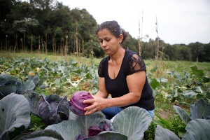 Com bioinsumos, agricultura familiar garante produção sustentável de alimentos saudáveis