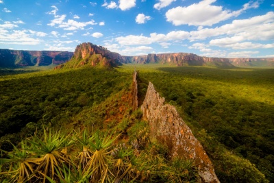 Chapada dos Guimarães, no Cerrado brasileiro