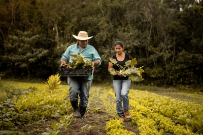 Capa da noticia BNDES já aprovou R$ 7,2 bi para produtores rurais impactados por eventos climáticos