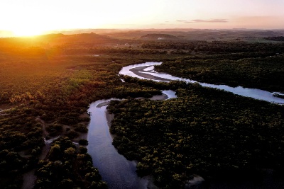 Capa da noticia BNDES confirma gestor da nova fase do Floresta Viva, que terá até R$ 250 milhões para projetos de restauração ecológica