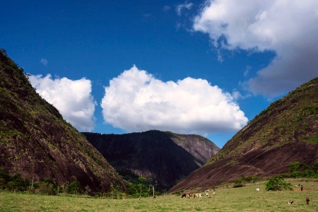 Capa da noticia Projeto Ecoforte Redes fortalece agroecologia e sociobiodiversidade no Espírito Santo