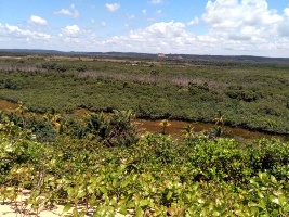 Capa da noticia BNDES e Governo de Sergipe anunciam Floresta Viva com até R$ 100 milhões para restauração ecológica no estado
