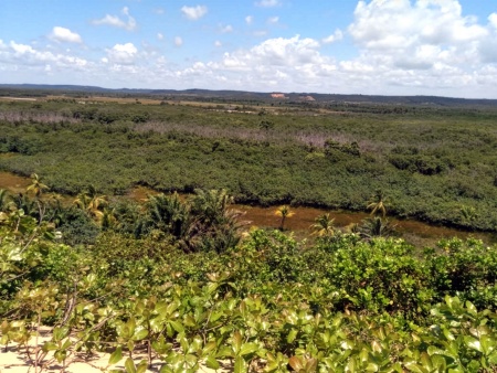 Capa da noticia BNDES e Governo de Sergipe anunciam Floresta Viva com até R$ 100 milhões para restauração ecológica no estado