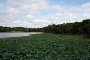 Capa da noticia BNDES lança chamada pública para fortalecer bacias hidrográficas e combater escassez de água em Cuiabá