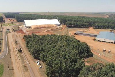 Capa da noticia BNDES aprova R$ 62 milhões à Santa Helena para produção de açúcar e álcool em MS