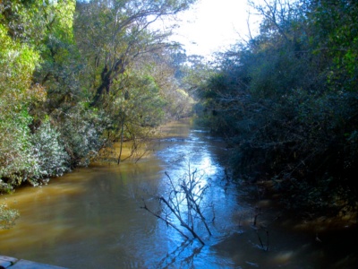 Capa da noticia BNDES libera R$ 21 milhões para a restauração de mais de 900 hectares da Mata Atlântica na Floresta Nacional de Irati 
