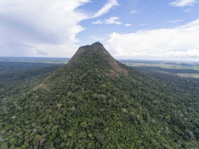 Capa da noticia BNDES e iNovaland destinam mais R$ 8,8 milhões à restauração da Mata Atlântica na BA e no ES