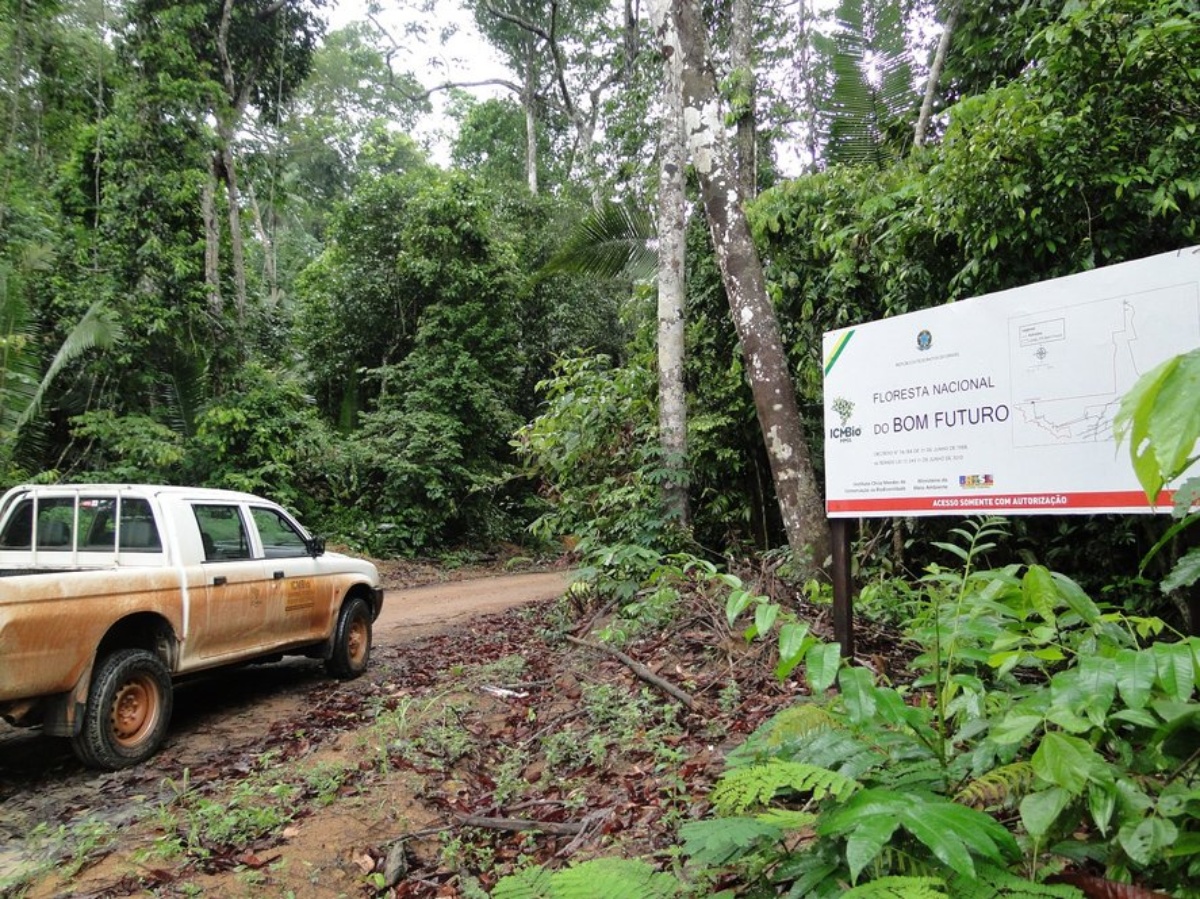 Estruturado pelo BNDES, edital define regras do leilão do 2º lote da concessão da Flona Bom Futuro 