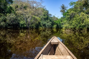 Capa da noticia Fundo Amazônia faz 17 anos com apoio a mais de 600 entidades comunitárias e impacto em mais 260 mil pessoas 