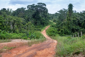 Reserva Chico Mendes em Xapuri, no Acre