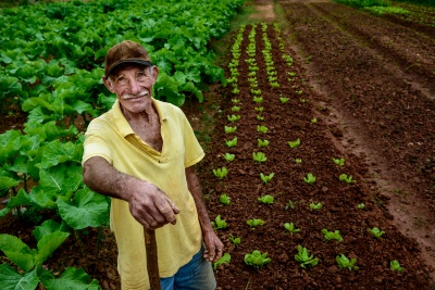 Capa da noticia BNDES atinge a marca de R$ 5,3 bilhões em crédito aprovado no Plano Safra 2025/2026