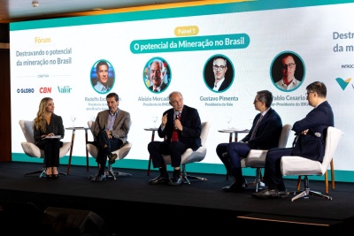 Mercadante destaca potencial dos minerais estratégicos para desenvolvimento das cadeias industriais