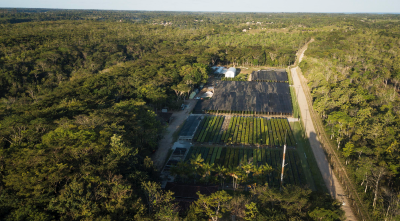 Capa da noticia Fundo Clima: BNDES desembolsa R$ 26 mi à projeto da Symbiosis na Bahia, em operação com fiança bancária