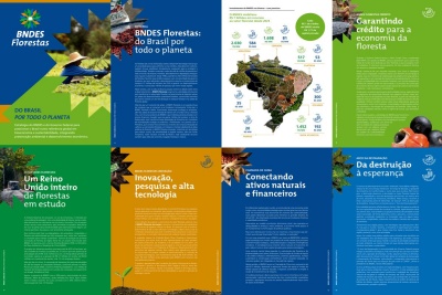 Capa da noticia COP30: Revista BNDES Florestas mostra como o Brasil se posiciona como potência global do setor