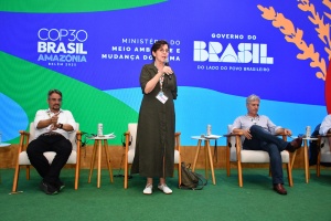 Capa da noticia BNDES contrata apoio de R$ 148,7 mi do Fundo Amazônia ao Incra para regularização fundiária na região