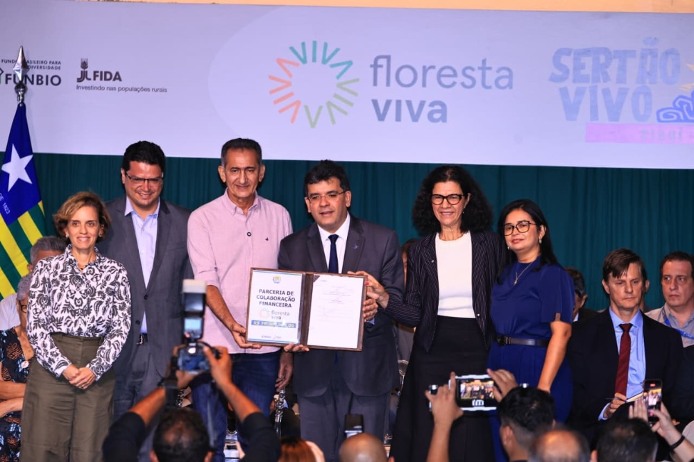 Capa da noticia Floresta Viva: BNDES, Porto Piauí e Axia Energia oferecem R$ 78 mi para restauração ecológica na Bacia do Rio Parnaíba, no Piauí