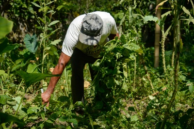 Capa da noticia BNDES aprovou R$ 7,5 bi para produtores rurais impactados por eventos climáticos