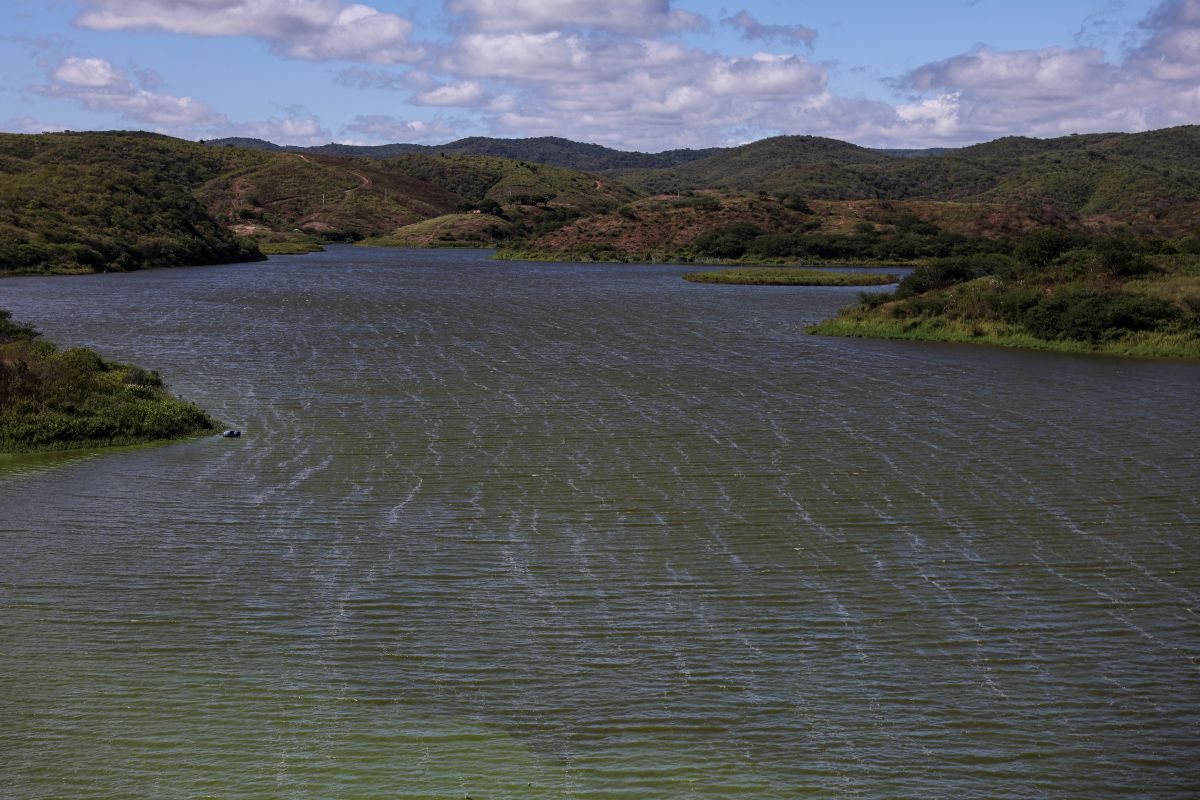 Capa da noticia BNDES e CPR anunciam edital de R$ 20 milhões para restauração vegetal e revitalização hídrica no São Francisco