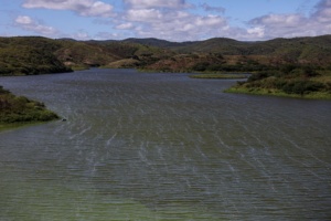 Capa da noticia BNDES e CPR anunciam edital de R$ 20 milhões para restauração vegetal e revitalização hídrica no São Francisco