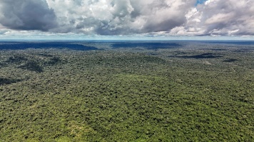 Capa da noticia BNDES e Instituto Clima e Sociedade firmam parceria com foco na restauração dos biomas brasileiros