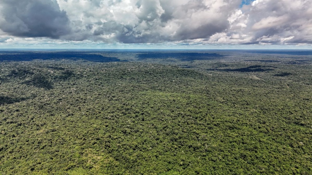 Capa da noticia BNDES e Instituto Clima e Sociedade firmam parceria com foco na restauração dos biomas brasileiros